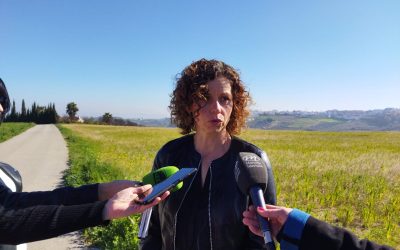 El PSOE de Montilla se suma a la petición de paralizar la orujera hasta que esté solucionado el problema humos y contaminación