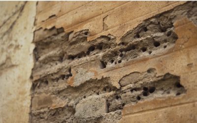 El reconocido documental Lugares de Memoria se proyectará en la Casa del Pueblo de Montilla